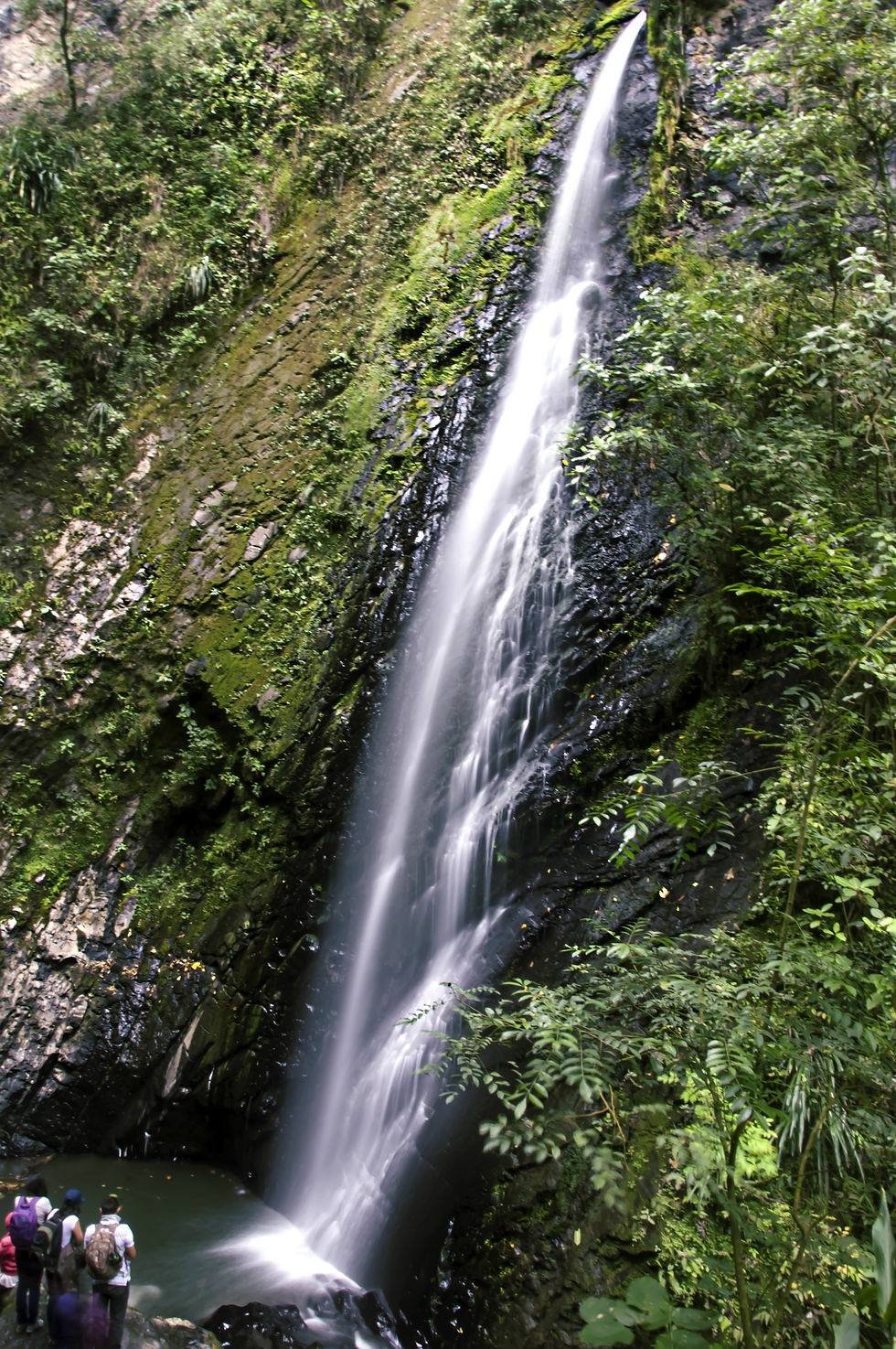 Cascada
