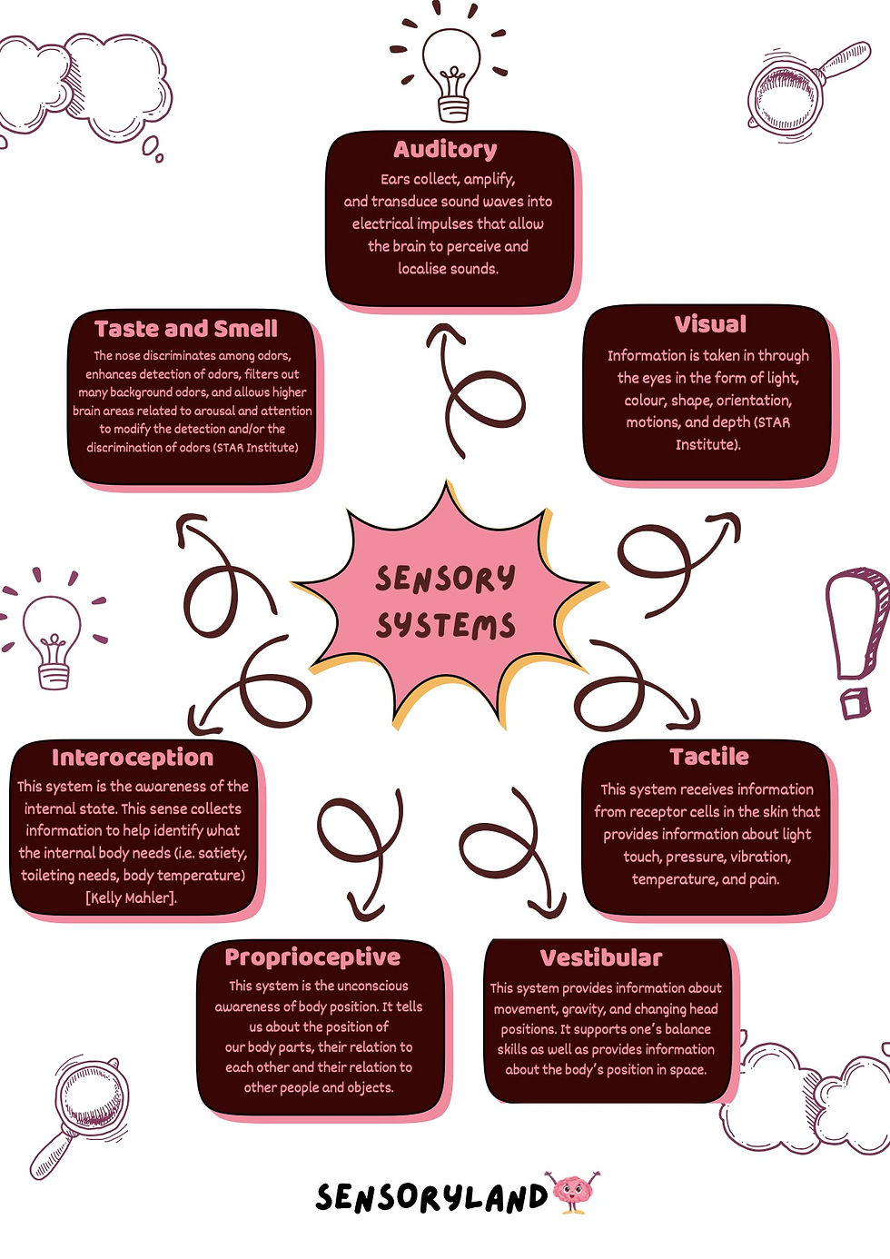 Sensory Systems Overview