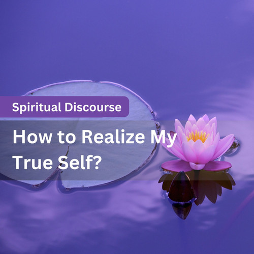 Self Realisation Guide Mighty Himalayas