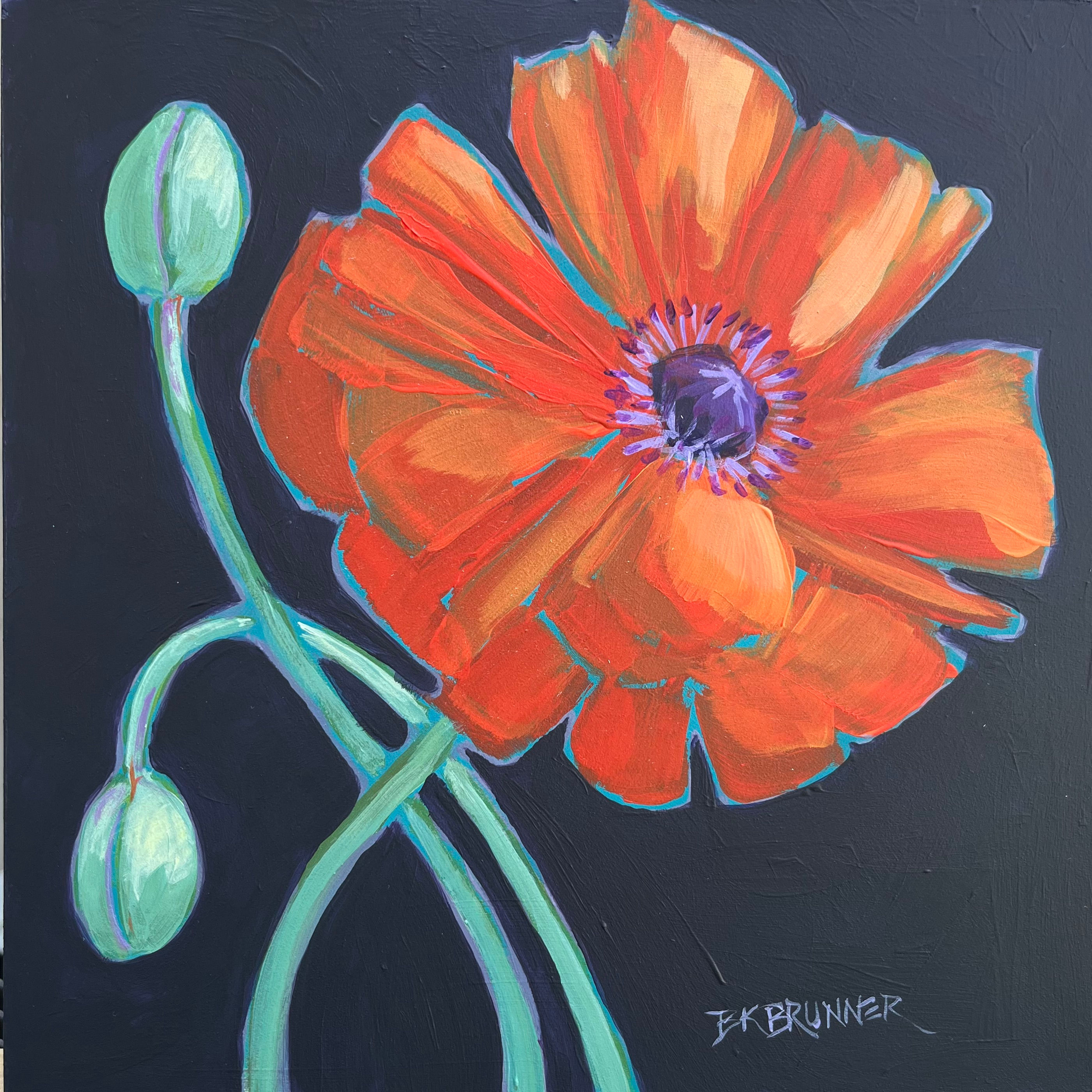 Orange Poppy
