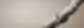 iStock-1204150980.jpg