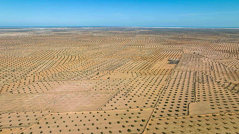 Eastern Interior.jpg