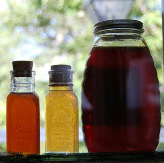 Light and dark honey displayed together, showing how different harvests can vary in character