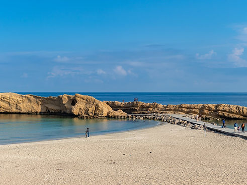 Northeast Coast .jpg