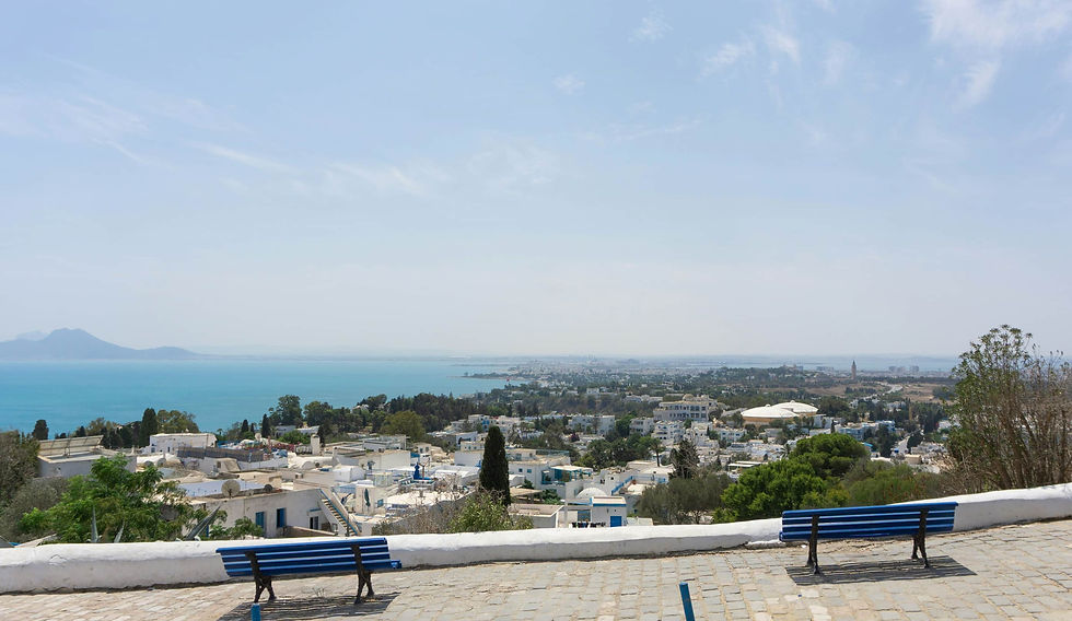 Why Tunisia Remains Structurally Stable in a Fragmenting World