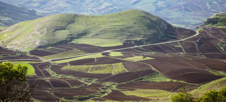 Agricultural fields and green hills surrounding Sejnane in northern Tunisia.