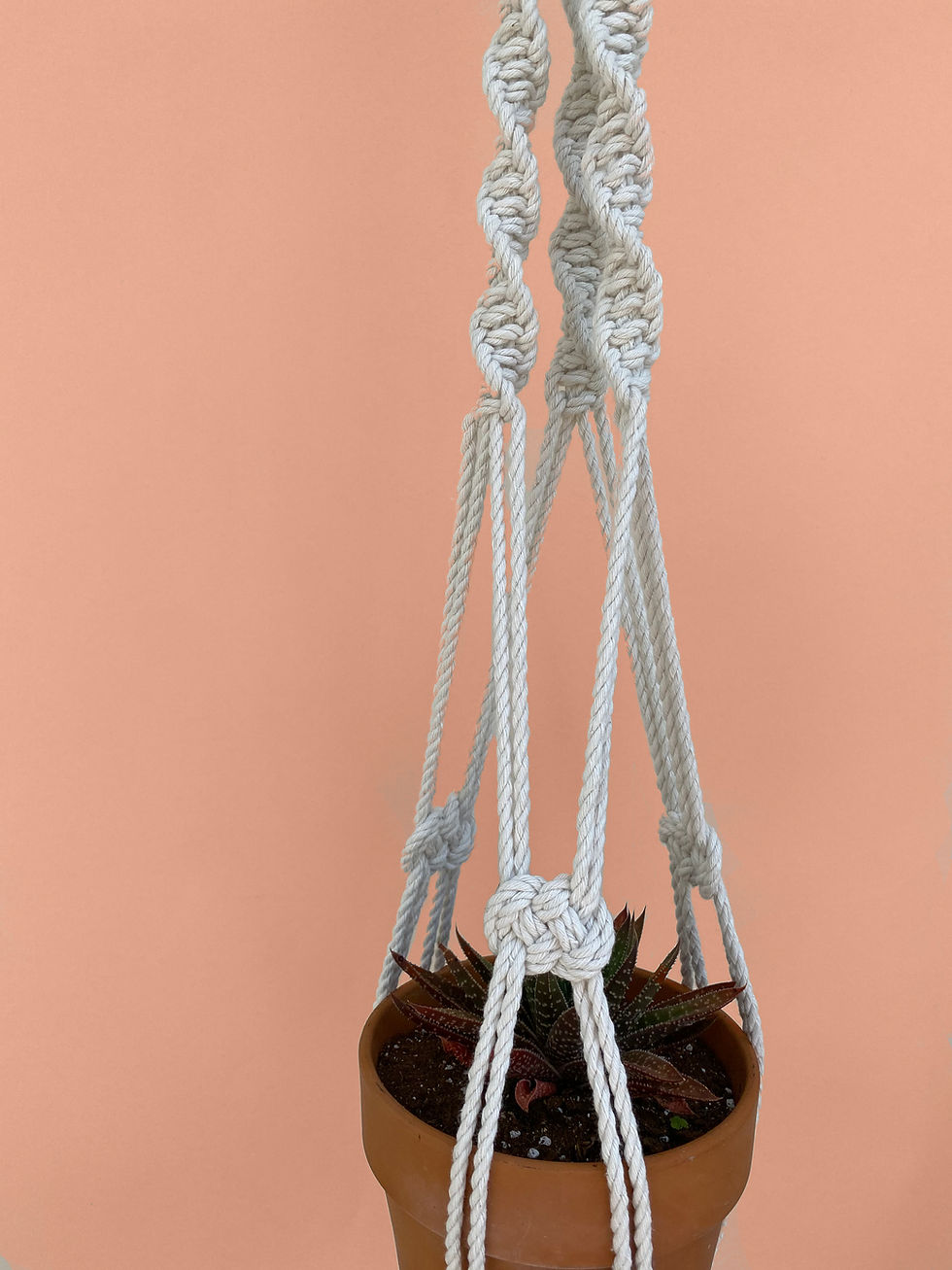 Thumbnail: Twist + Shout Plant Hanger