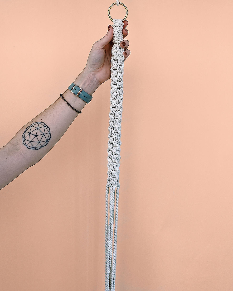 Thumbnail: Hand + Hand Plant Hanger