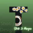 Stay with us! Shoti JI Designs