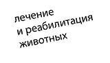 Ветеринарная клиника "От Носа до Хвоста", Москва (495) 589-8554, ветеринарные услуги, ежедневно лечение и реабилитация животных