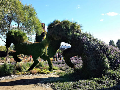 ZiN Daily: Monthly Digest October 2017