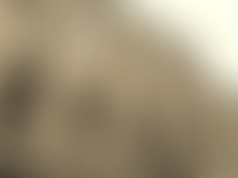 Gluha Goyina kuća: Gábor Lanczkor