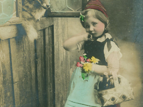 ZiN Daily: Monthly Digest Feb. 2017