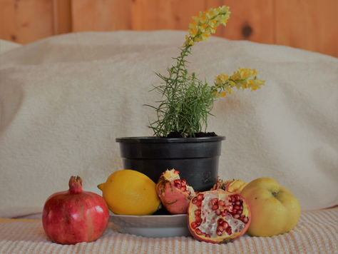 Drops of Honey: Margarita Serafimova