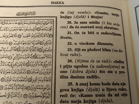 Znanje i spoznaja: Sanjin Šahmanović