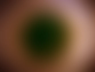 Princip kruga: Aleksandar Tanurdžić