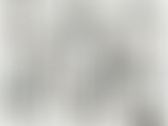 Collage No. 5: Andrew Topel