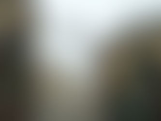 Etika zasluženog poraza: Ana-Marija Posavec