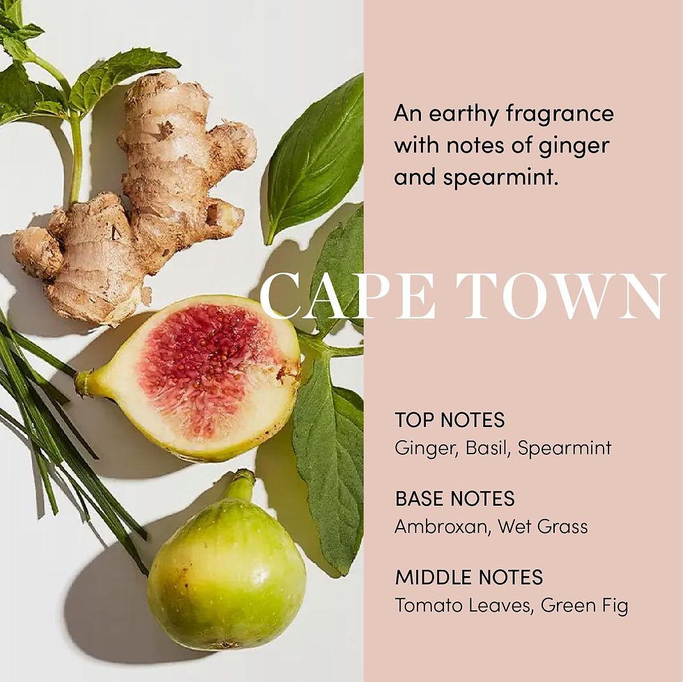 Thumbnail: OUAI Scalp Serum - Balancing Hair Serum with Red Clover Extract, Siberian Gin...