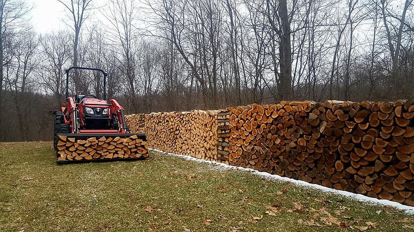 RK37 and firewood.jpg