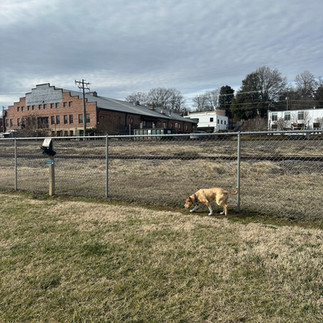 Elkin Dog Park, Elkin NC