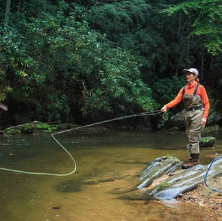 Fishing in Elkin, NC