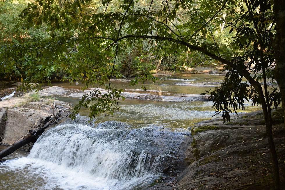Carter Falls, Elkin NC