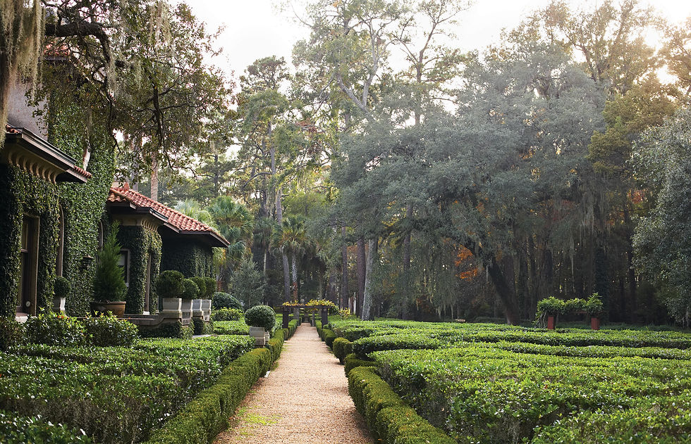 A view of the house and a garden