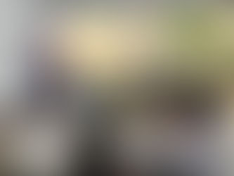 Reunião da Diretoria Settrim