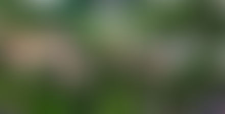 İspanya'da Felsefe Deneyimi