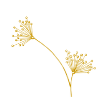 Elementos_edited_edited.png
