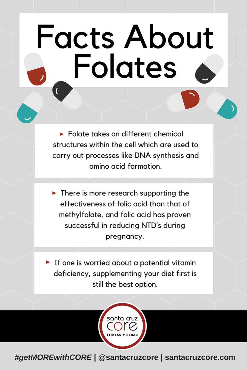 Facts About Folates meme