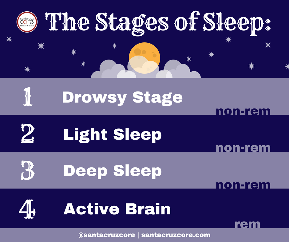 The Stages of Sleep meme