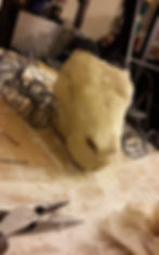 I am not Ram (part 3_3)