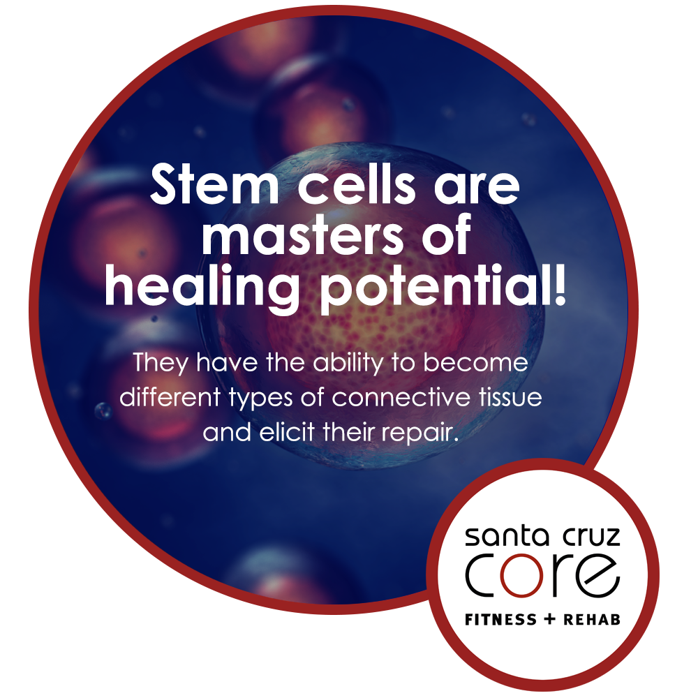 Stem Cells meme