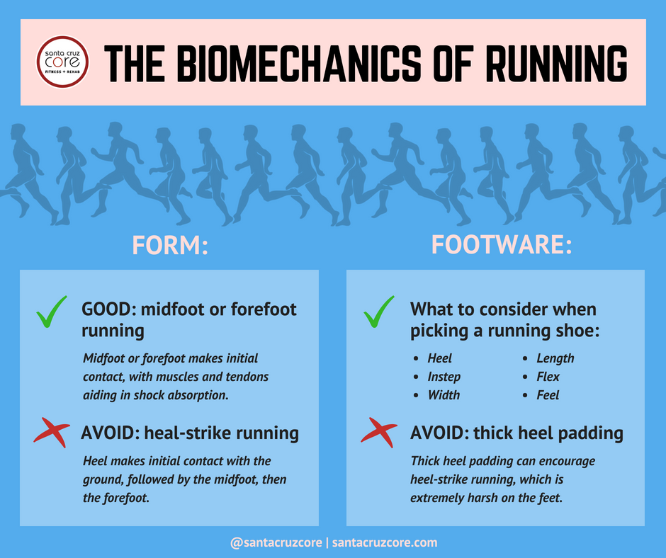 Biomechanics of Running meme