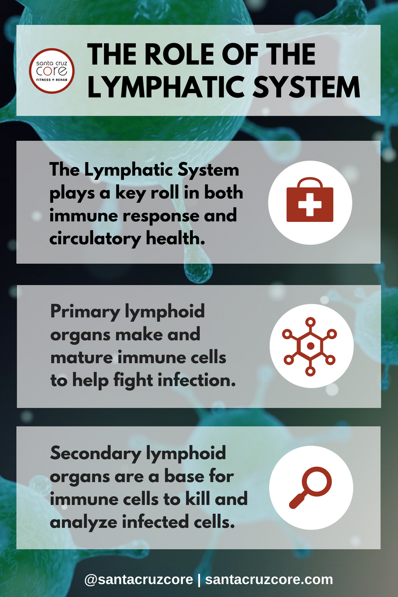Movement and Lymphatic Flow meme