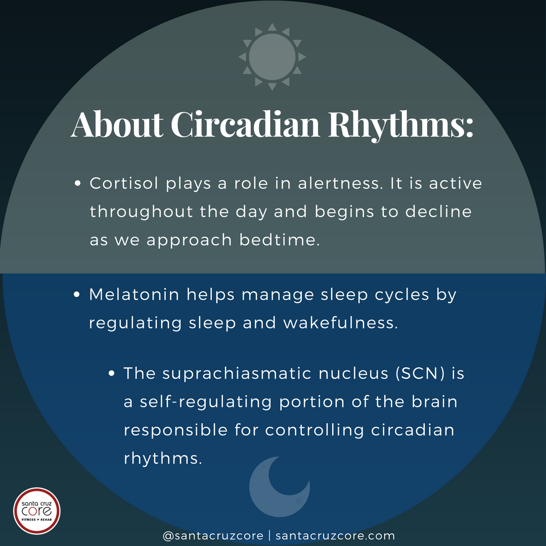 circadian-rhythms-explained-meme_santacruzcore
