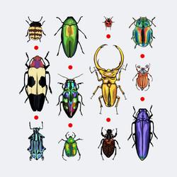 It's the Beetles!
