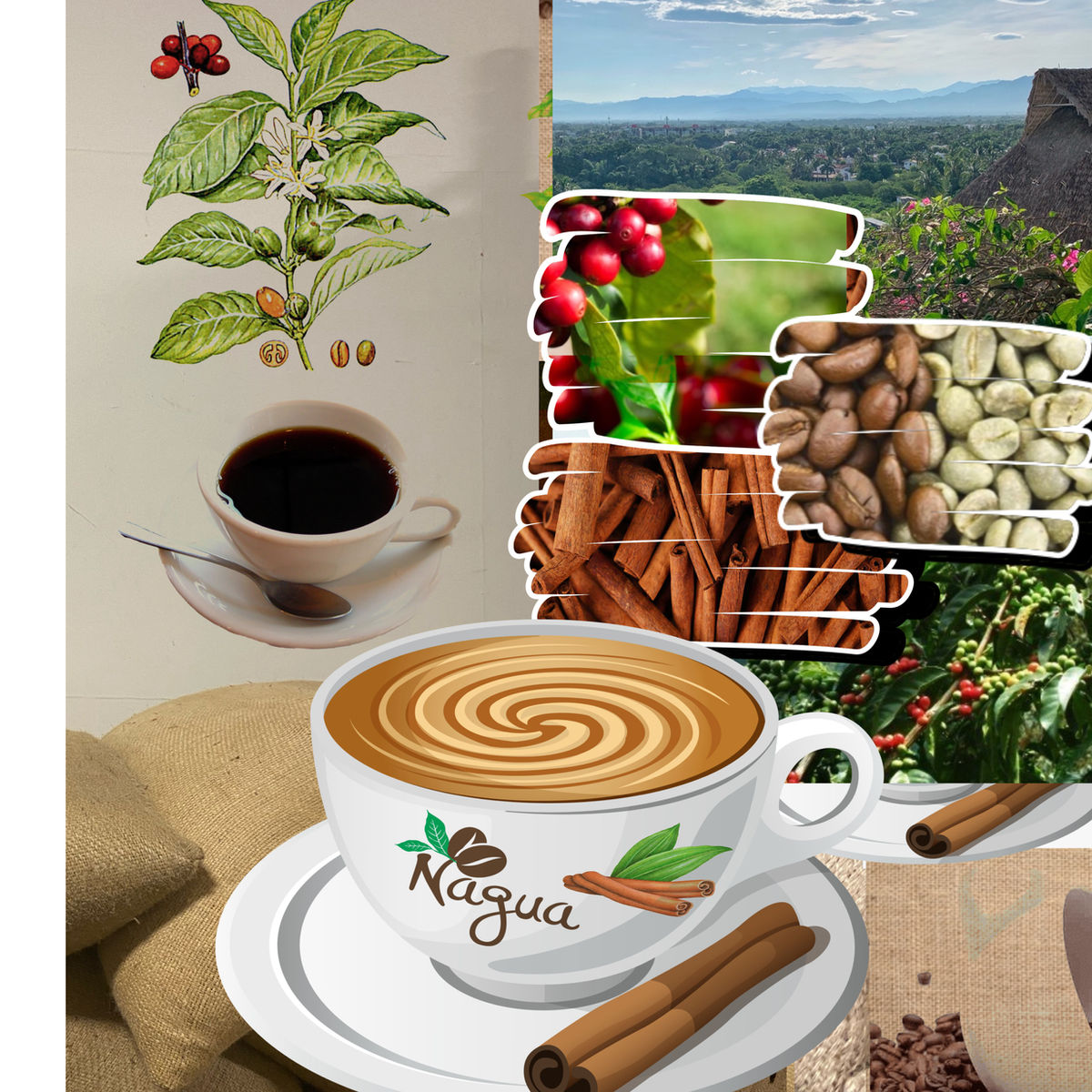 Nagua Coffee Roasters