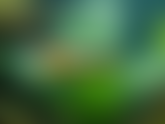 רביית דגים באקווריום