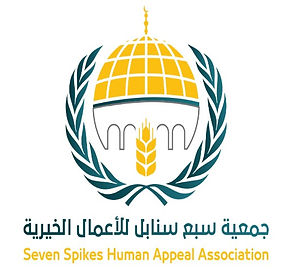 SSHAA Logo.jpg