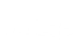 logo blanco.png