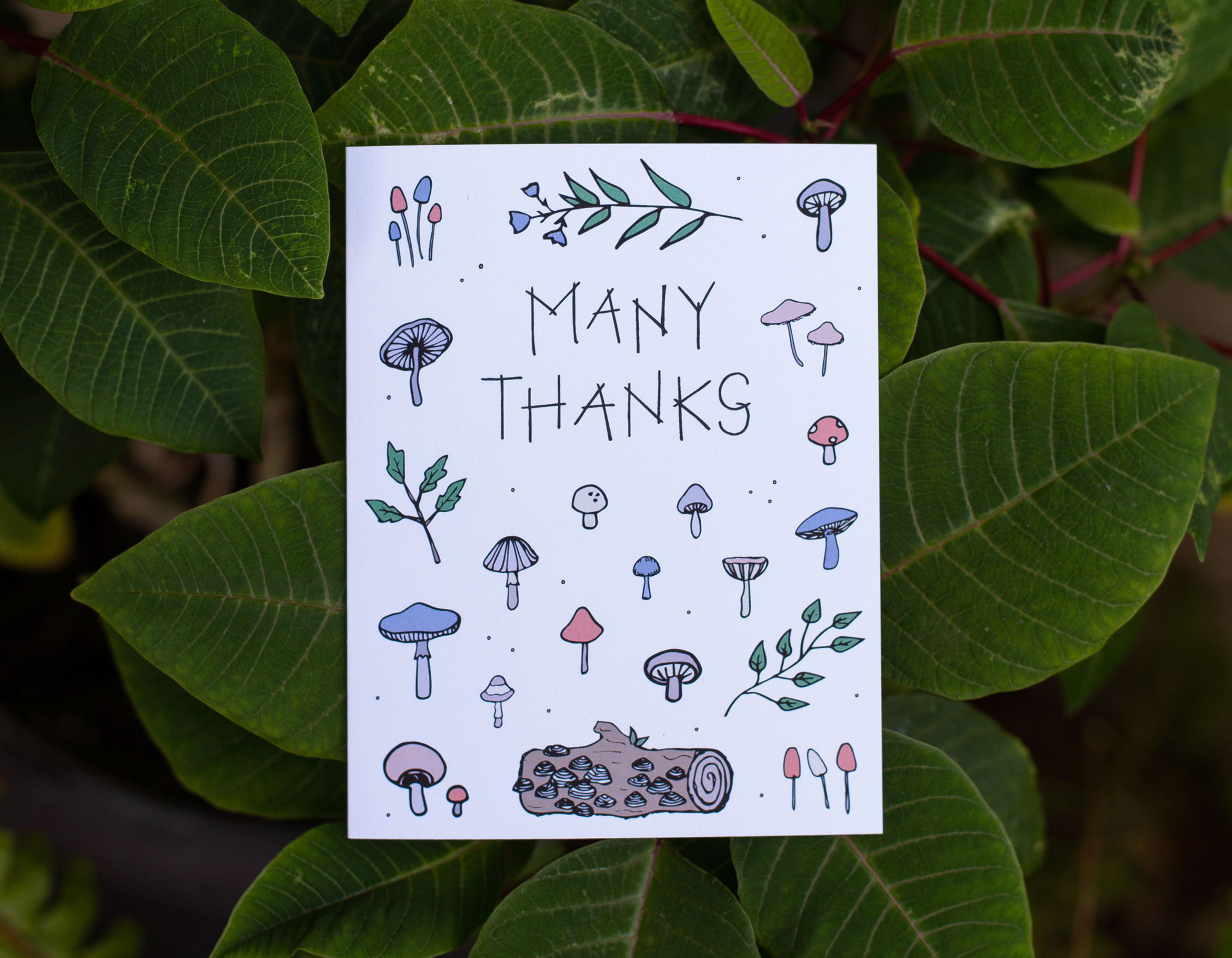 Many Thanks | Thank You Card