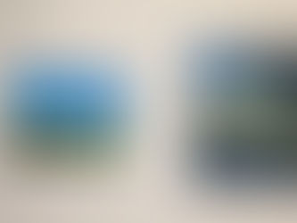 Inaugural Show: A Selection of Sustainability