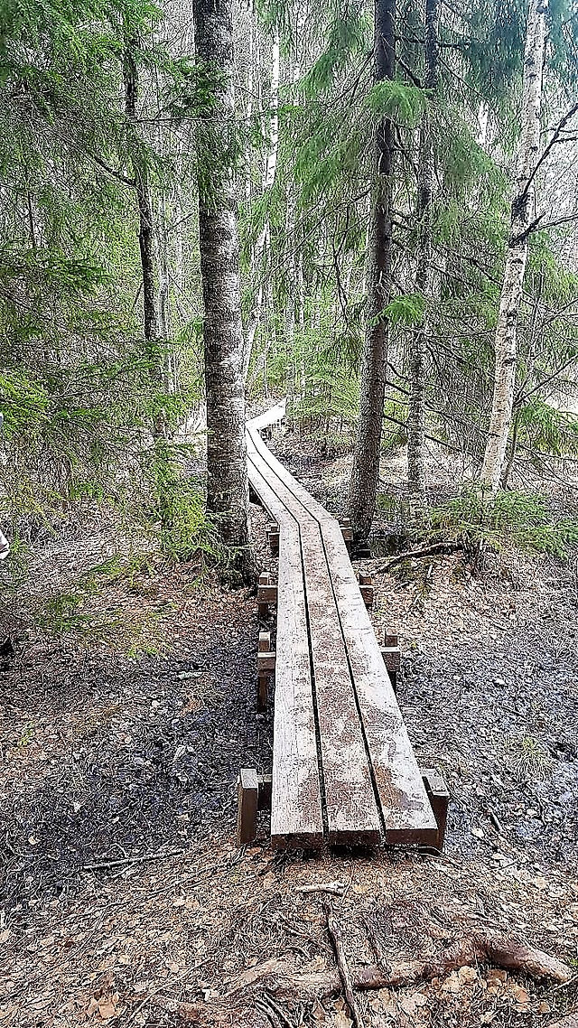 2018-05-05_meeting-finland-5 (7)