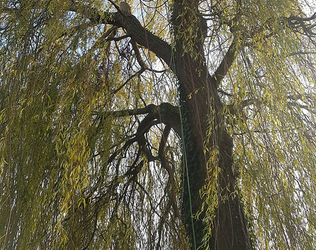 20171122_104819.jpg