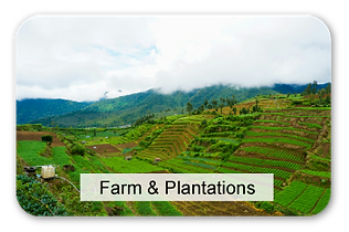 Use_Farm-&-Plantation.png