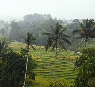 IMG_0038.png