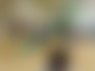 10/23(木)の様子です🎵